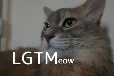 LGTM image