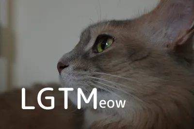 LGTM image