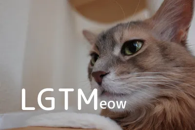 LGTM image