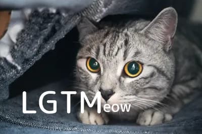 LGTM image