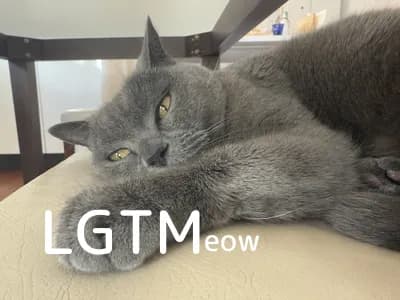 LGTM image