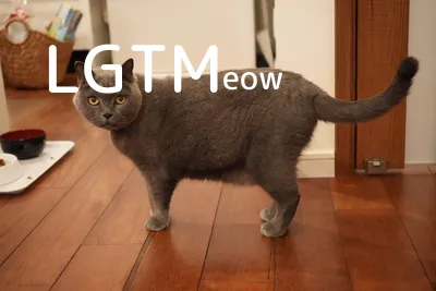 LGTM image