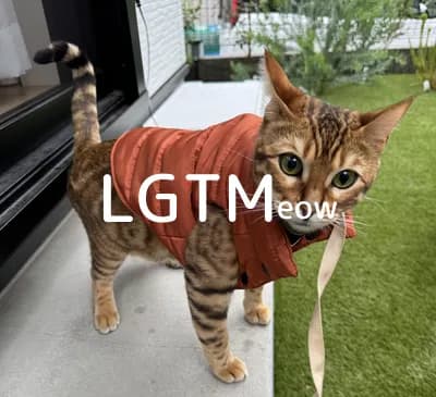 LGTM image