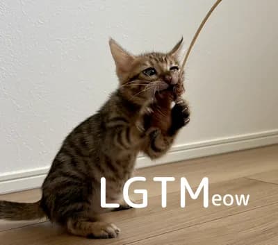 LGTM image
