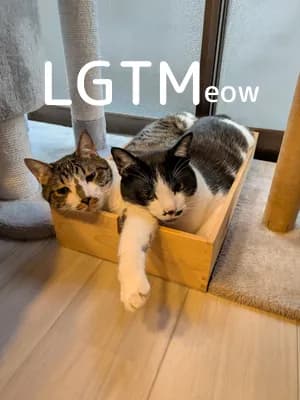 LGTM image