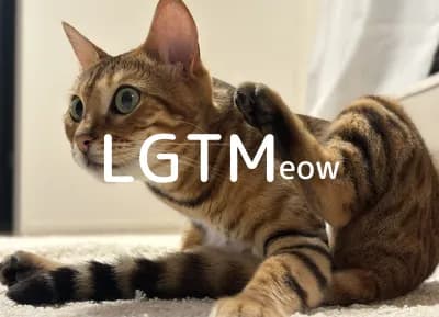 LGTM image