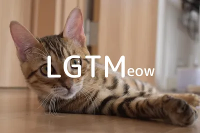 LGTM image