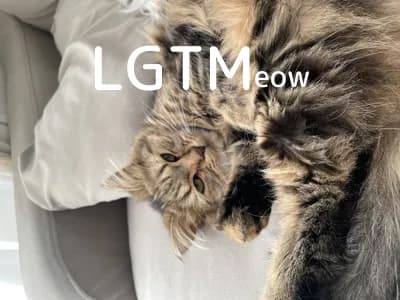 LGTM image