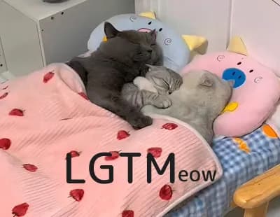 LGTM image