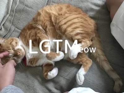 LGTM image