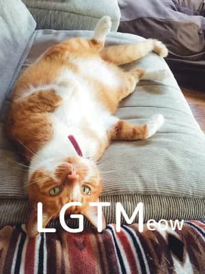 LGTM image