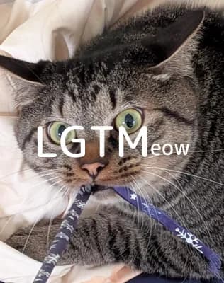 LGTM image