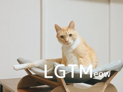 LGTM image