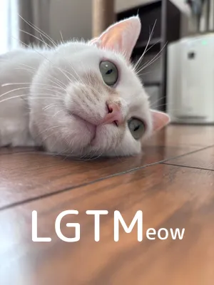 LGTM image
