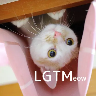 LGTM image