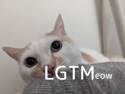 LGTM image