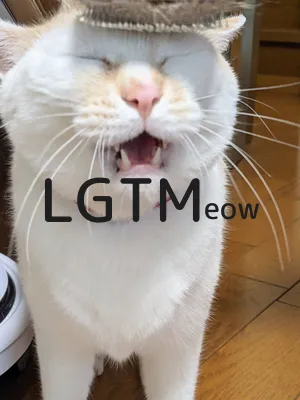 LGTM image
