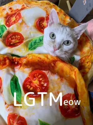 LGTM image