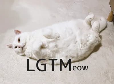 LGTM image