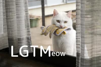 LGTM image
