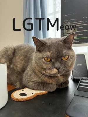 LGTM image