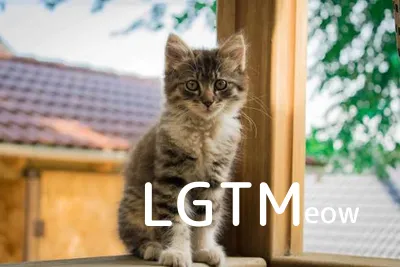 LGTM image