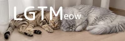 LGTM image