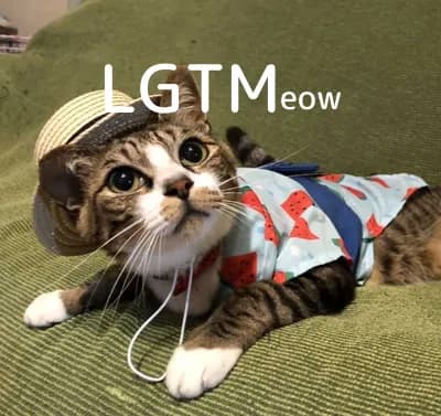 LGTM image