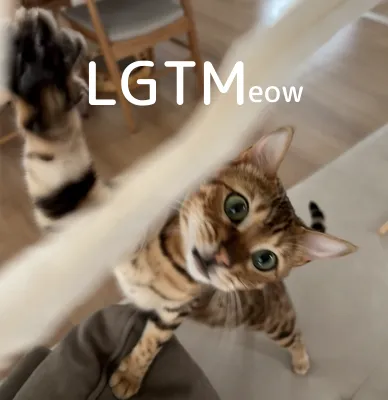 LGTM image