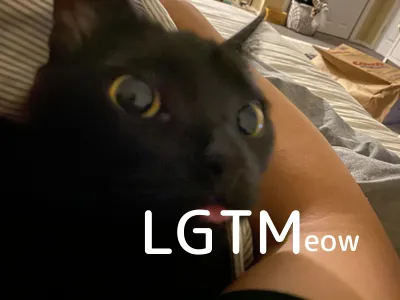 LGTM image