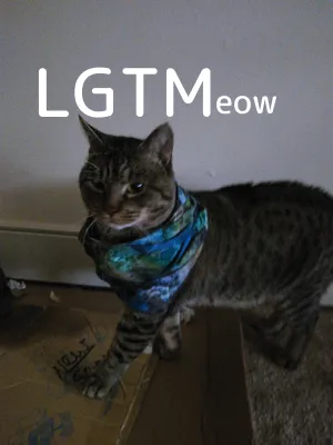 LGTM image