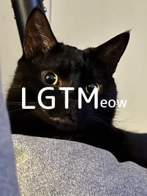 LGTM image