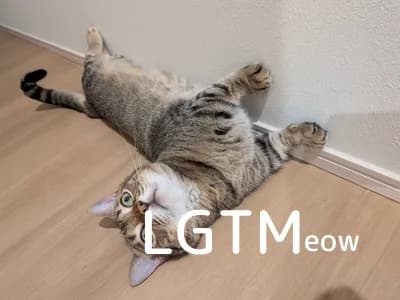 LGTM image