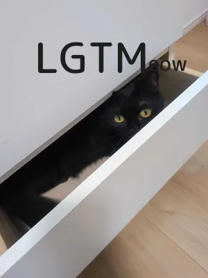 LGTM image