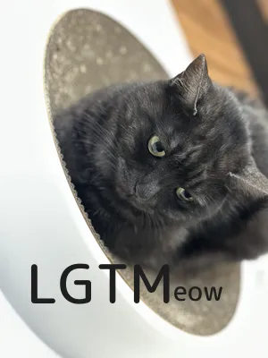 LGTM image