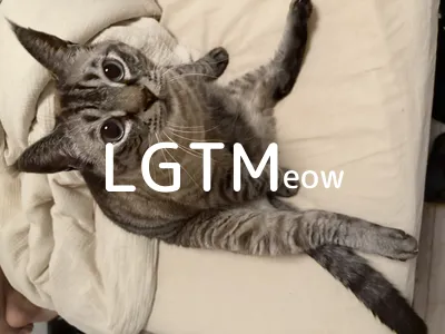 LGTM image