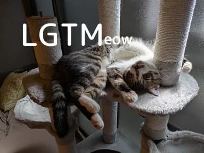 LGTM image