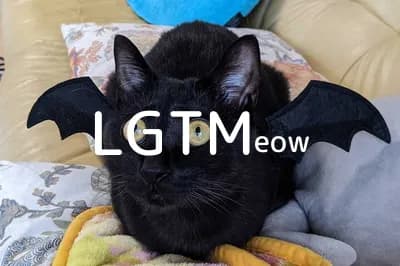 LGTM image