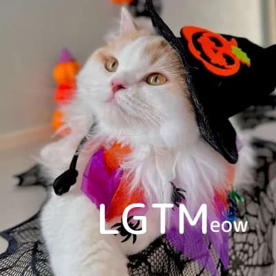 LGTM image