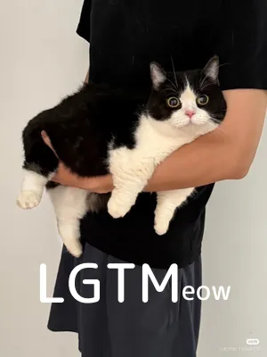 LGTM image