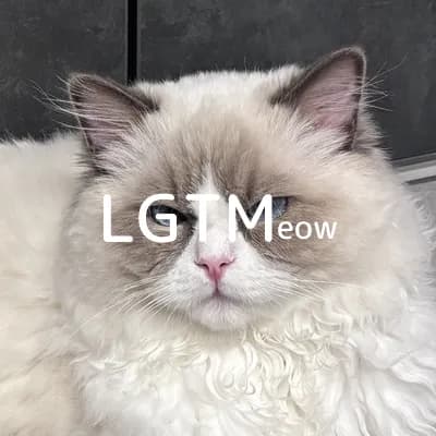 LGTM image