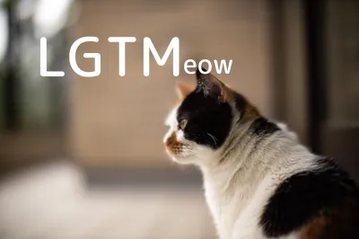 LGTM image