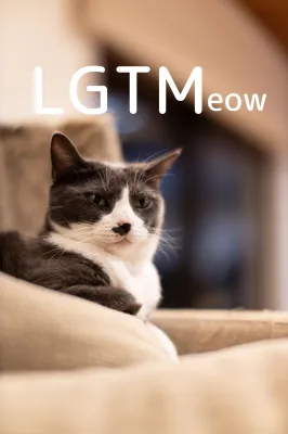 LGTM image