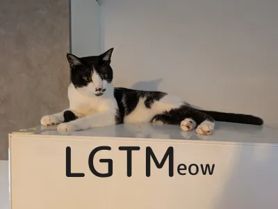 LGTM image