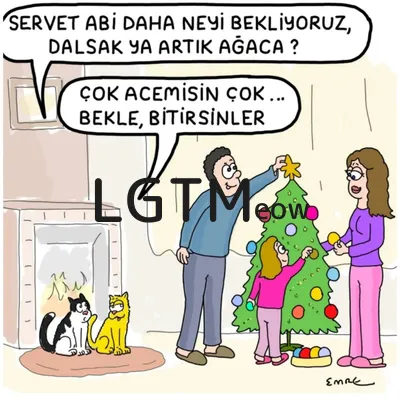 LGTM image