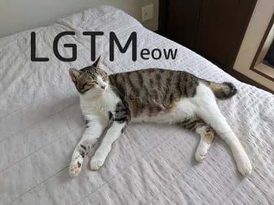 LGTM image