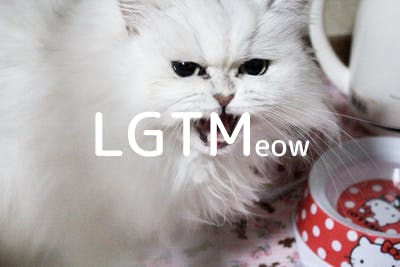 lgtm-cat-image